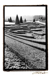Palace of Versailles Garden II