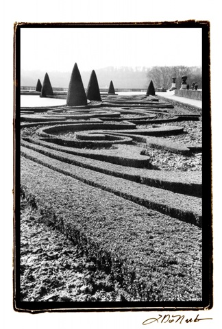 Palace of Versailles Garden II