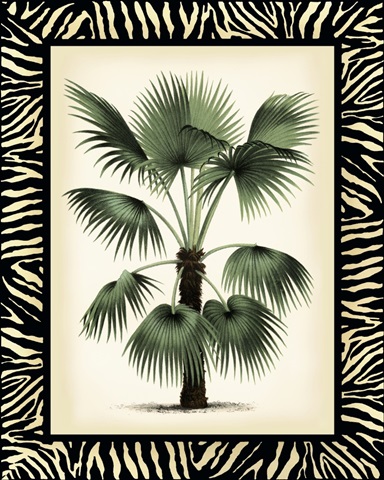 Palm in Zebra Border II