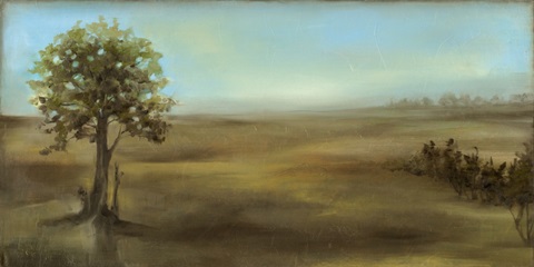 Panoramic Field II