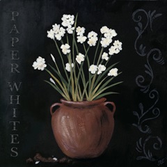 Paper Whites