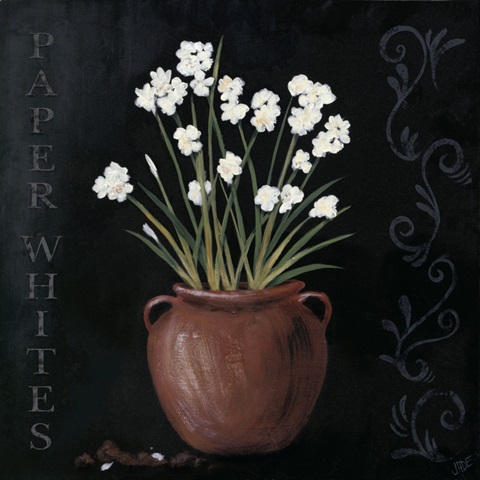 Paper Whites