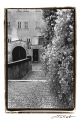 Passing through Prague II