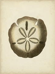 Sealife Collection IX