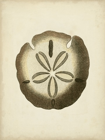 Sealife Collection IX