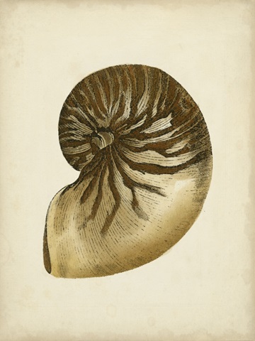 Sealife Collection V