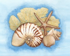 Seashells and Seafan I