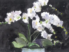 Something Floral VII