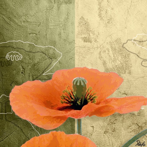 Orange Poppies III