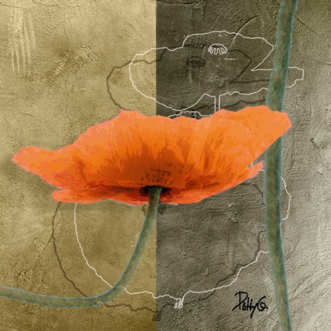 Orange Poppies VI