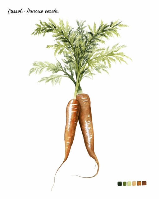 Root Vegetable III