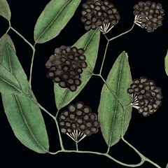 Graphic Botanical Mini XV