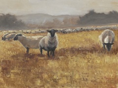 Grazing at Sunset I