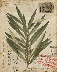 Vintage Natures Greenery I (LB)