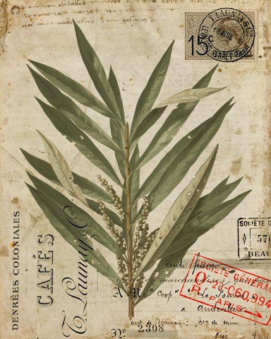 Vintage Natures Greenery I (LB)