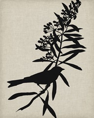 Audubon Silhouette I