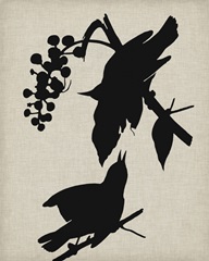 Audubon Silhouette III