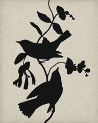 Audubon Silhouette IV
