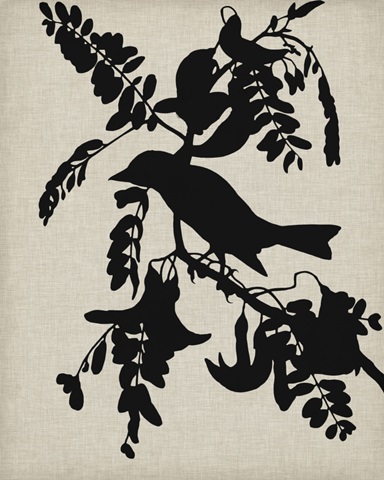 Audubon Silhouette V