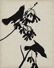 Audubon Silhouette VI