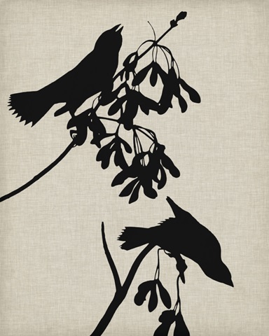 Audubon Silhouette VI