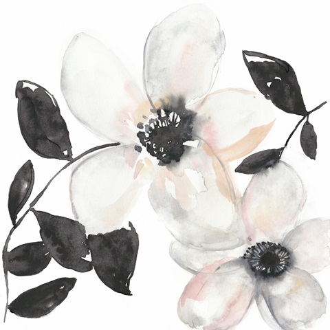Black and Blush Anemone I