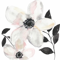 Black and Blush Anemone II