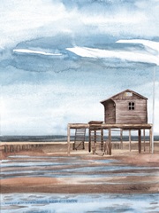 Along the Shoreline I