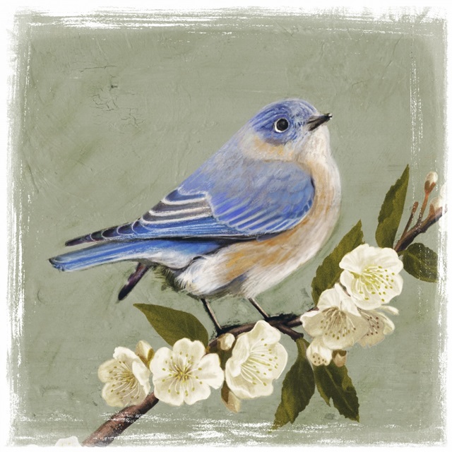 Bluebird Branch I