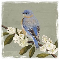 Bluebird Branch II