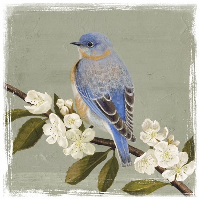 Bluebird Branch II