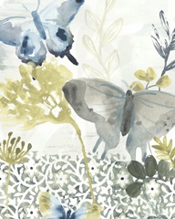 Butterfly Concerto I