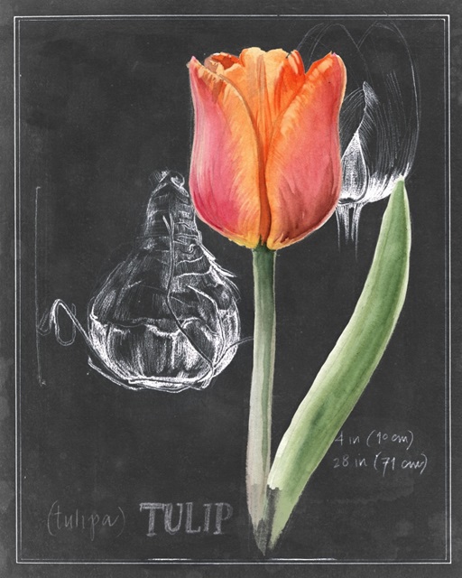 Chalkboard Flower III