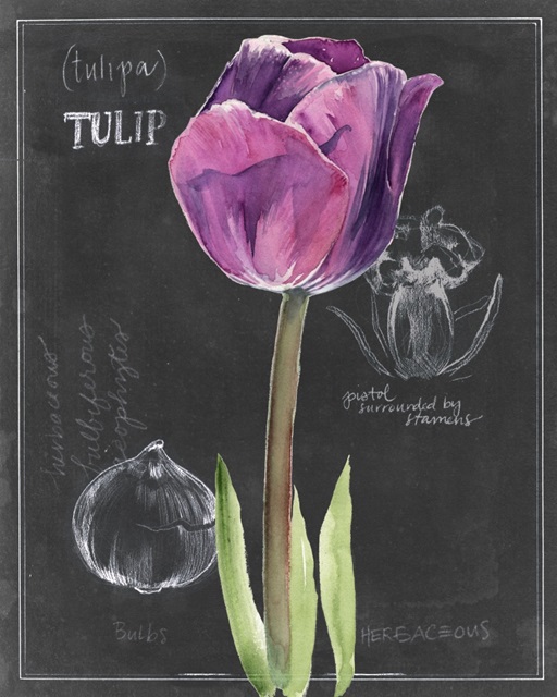 Chalkboard Flower IV