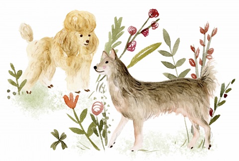 A Little Walk Collection A