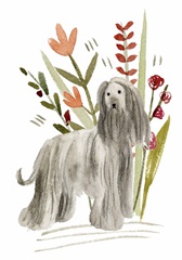 A Little Walk Collection B