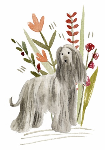 A Little Walk Collection B