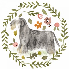 A Little Walk Collection C