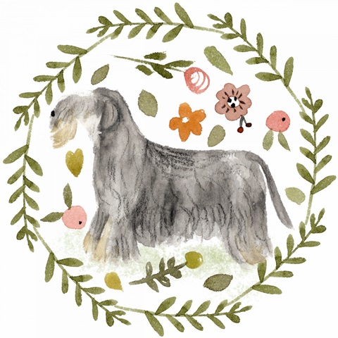 A Little Walk Collection C