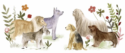 A Little Walk Collection D