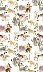 A Little Walk Collection E