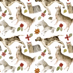 A Little Walk Collection F