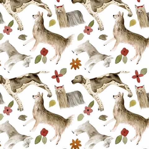 A Little Walk Collection F