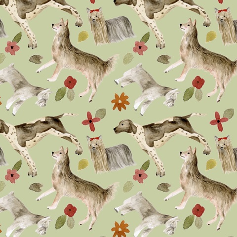 A Little Walk Collection G