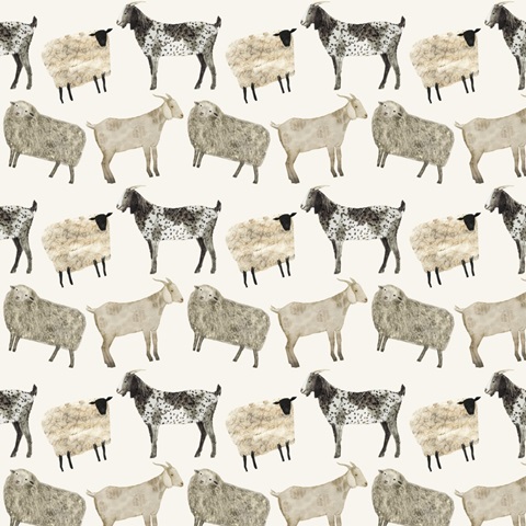 Barnyard Buds Collection G