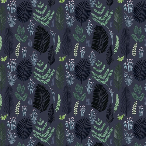 Beneath the Stars Collection I