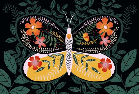 Butterfly Petals Collection A