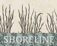 By the Shoreline Collection A