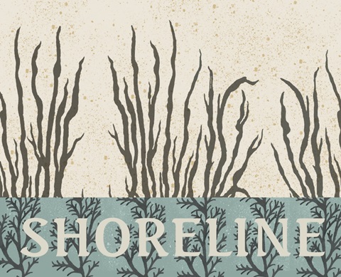 By the Shoreline Collection A