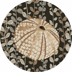 By the Shoreline Collection C